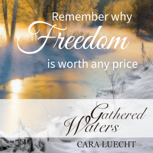 Remember why Freedom is worth the price